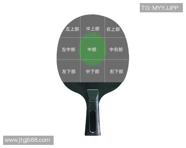 南京乒乓球队在联赛中的速度表现分析与战术探讨